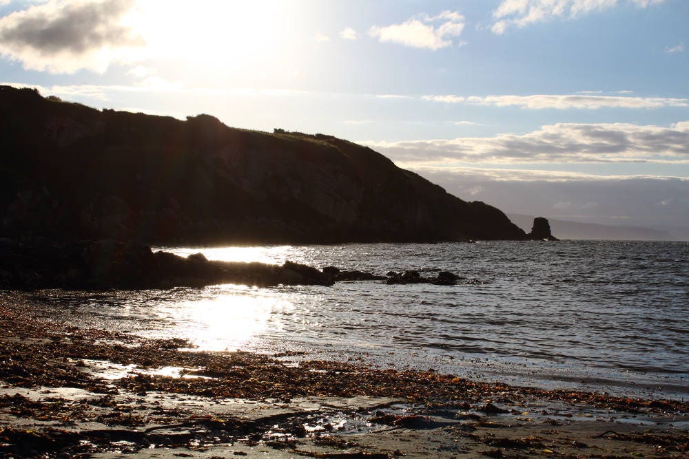 Kelly Green Sea Glass Earrings