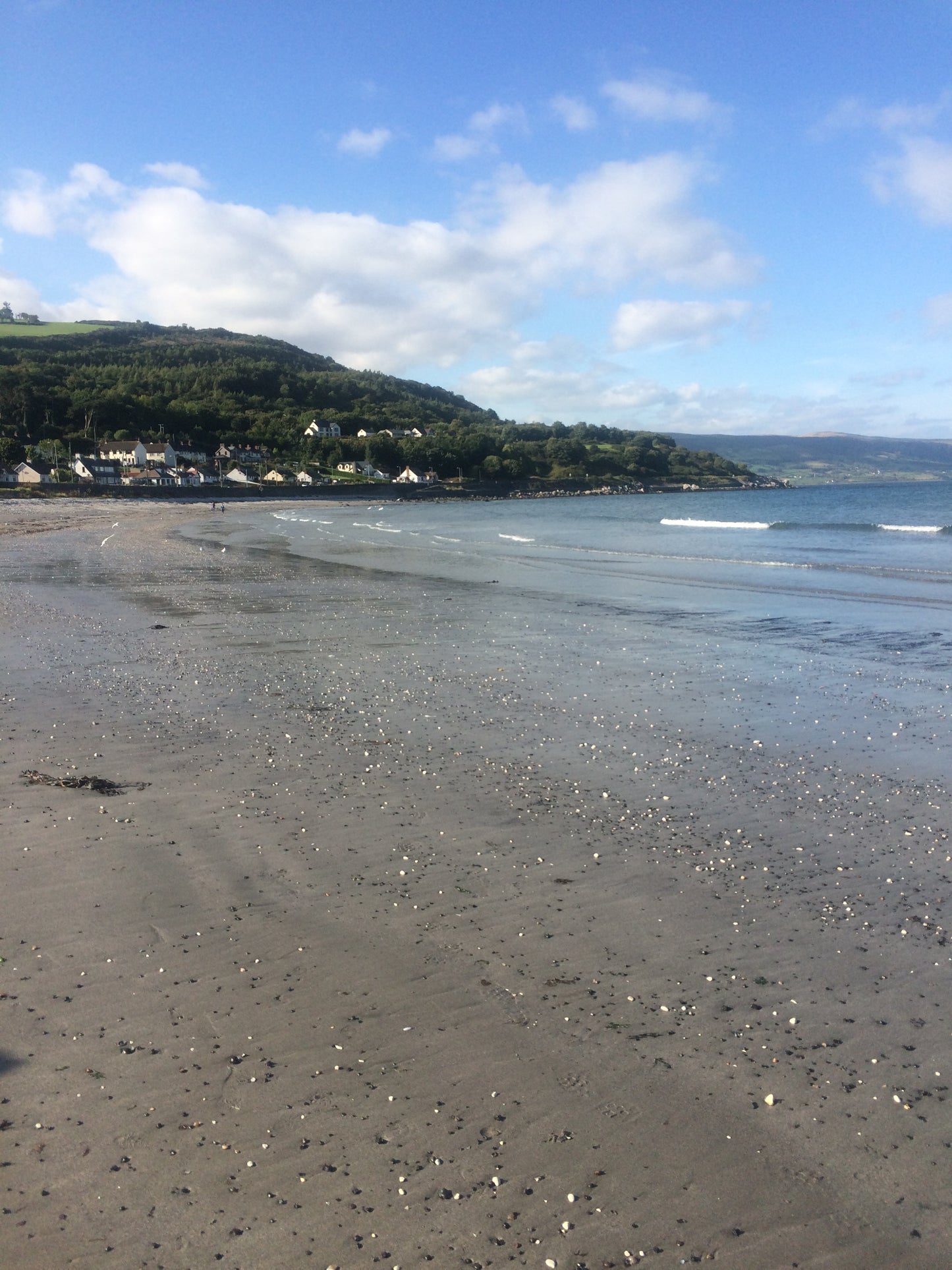 Celtic Kelly Green Charm Keyring