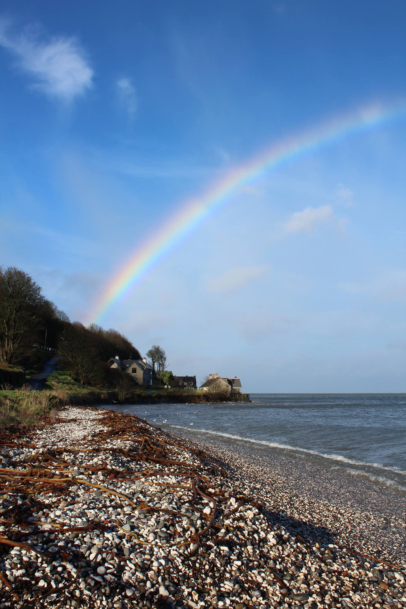 Rare Teal Green Beaded Pearl Sea Glass Silver Bracelet